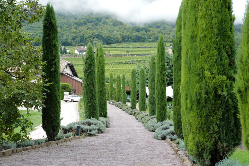 Why Schloss Freudenstein Is the Only Place I Keep Returning to in Italy L1000980 1024x683
